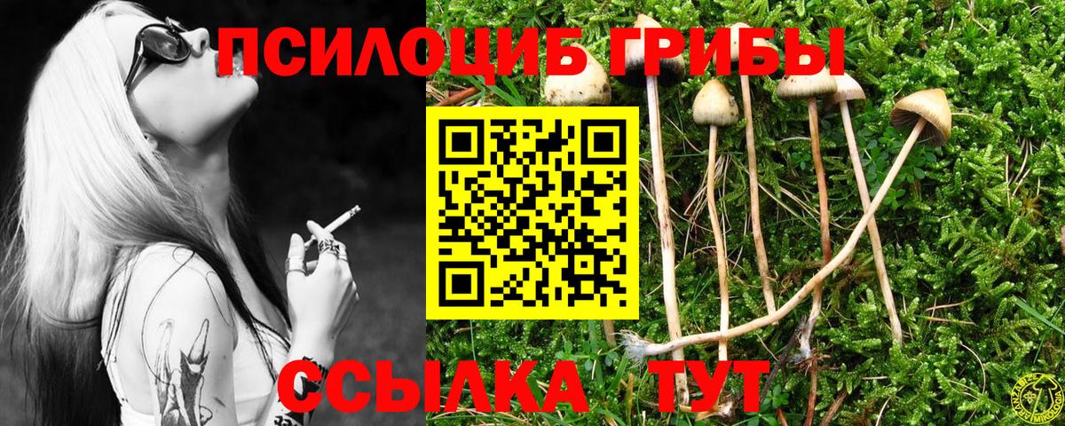 Симферополь  Псилоцибиновые грибы Magic Shrooms  Вход с VPN  Псилоцибиновые грибы Magic Shrooms 