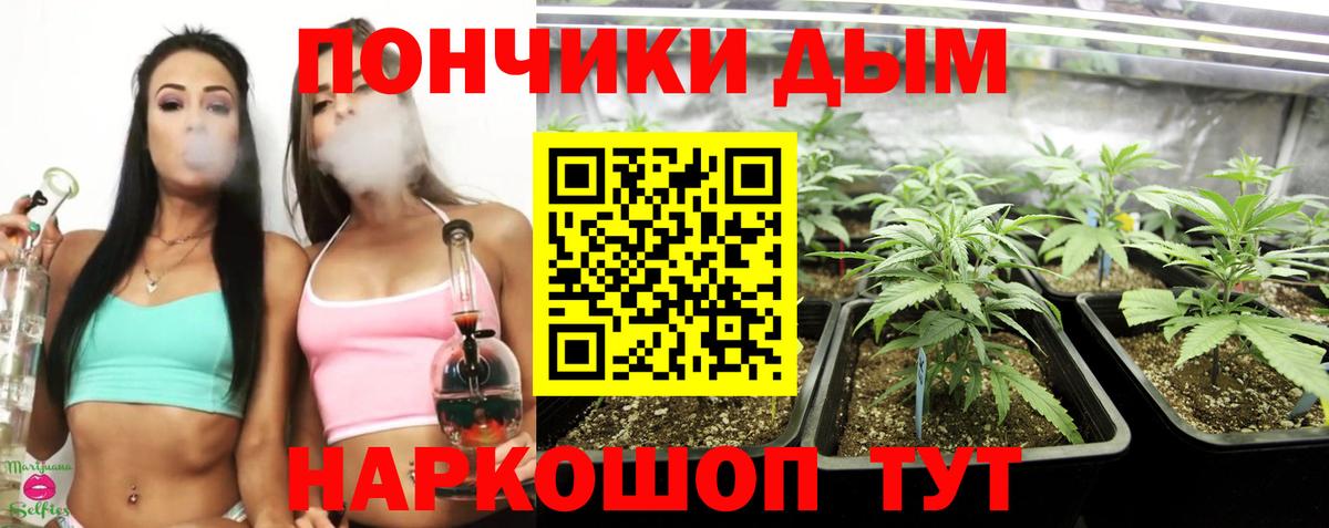 Симферополь  Бошки марихуана марихуана  Бошки Шишки конопля  МАРИХУАНА план  Вход с VPN  Шишки марихуана тримм 
